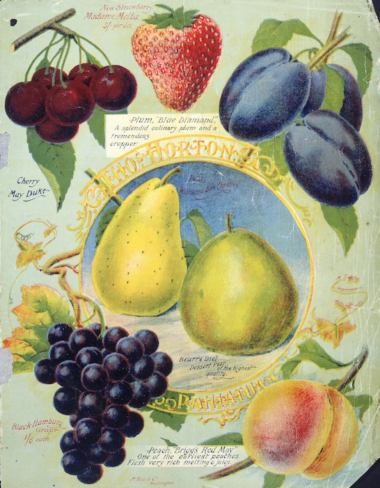 Thomas Horton Ltd :Thos. Horton Pahiatua. Pear, Williams' Bon Chretien; Beurre Diel dessert pear of the highest quality. McKee & Co., Wellington [ca 1904].