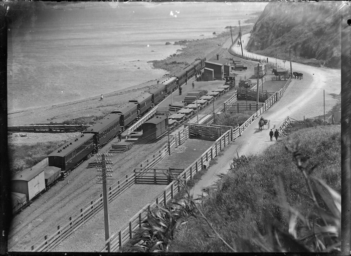 Trains at Ngauranga Station; passenger and goods train travelling north; goods train on a siding, with D class locomotive. Stock-yards alongside the railway lines, ca 1900