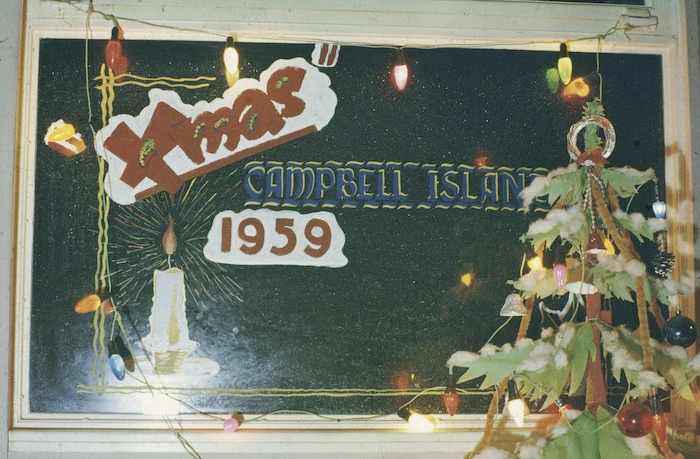 Xmas, Campbell Island, 1959