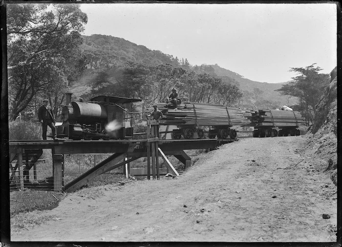 The Piha logging locomotive "Sandfly" with a load of timber, taking on water at the Karekare Stream.