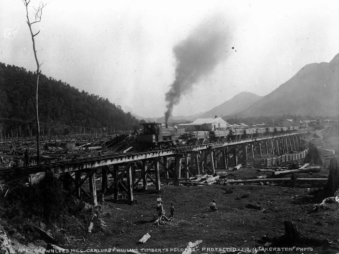Logs being hauled by railway from Brownlee's Mill in Carluke
