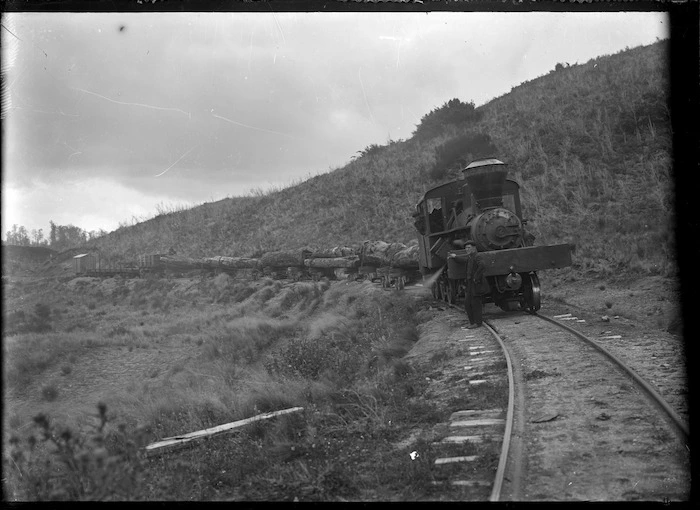 Taupo Totara Timber number 9 steam locomotive towing laden logging wagons