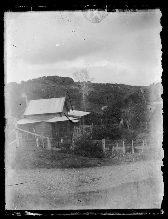 Scene with house, Chatham Islands