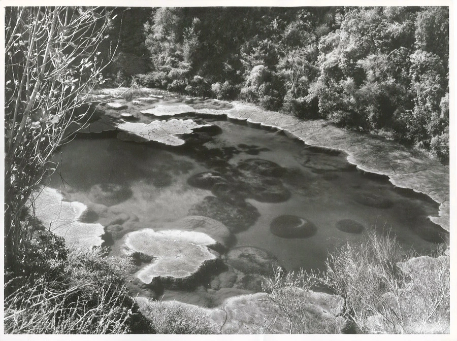 Waimangu Thermal Valley.