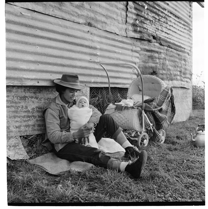 Harvesting corn, Opotiki