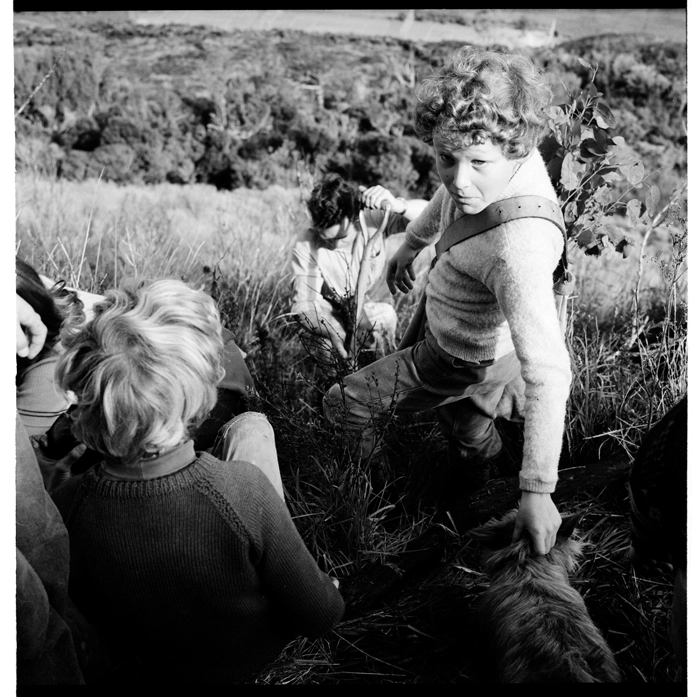 Tree planting on a steep hillside above Wainuiomata