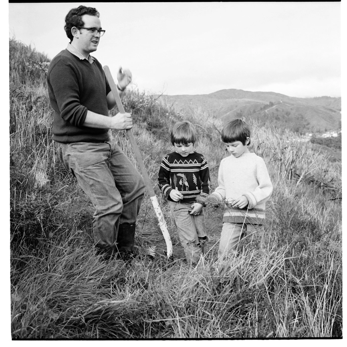 Tree planting on a steep hillside above Wainuiomata