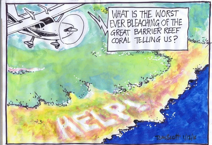 "What is the worst ever bleaching of the Great Barrier Reef coral telling us?"
