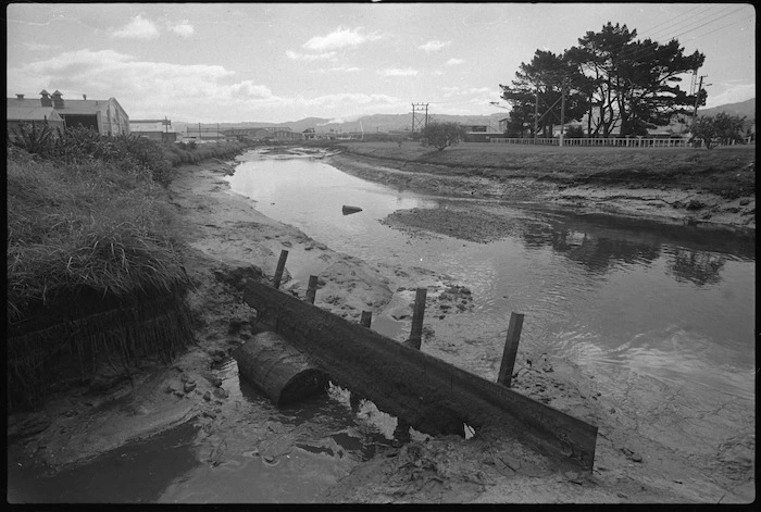 Waiwhetu Stream, Lower Hutt, polluted by industrial waste