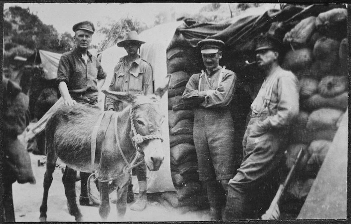 Group with Simpson and his donkey "Murphy", Gallipoli