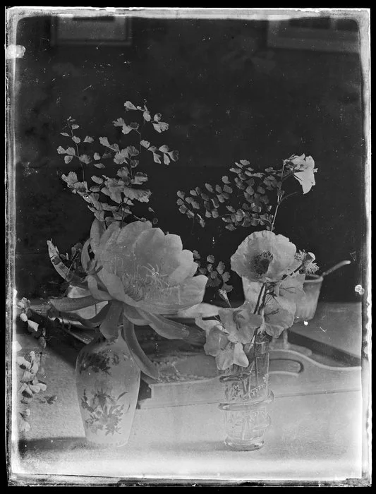 Epiphyllum, poppies and other flowers in vases