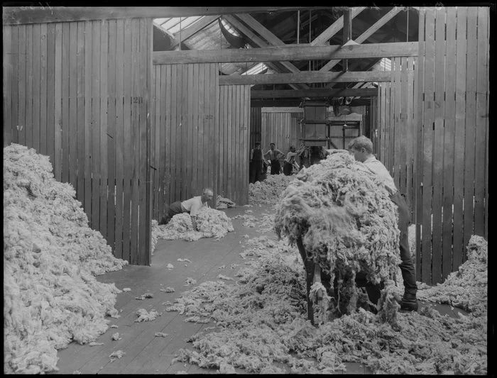 Waimairi Company freezing works, clearing shearing sheds, Belfast, Christchurch