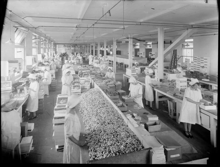 Aulsebrooks factory, packing chocolates