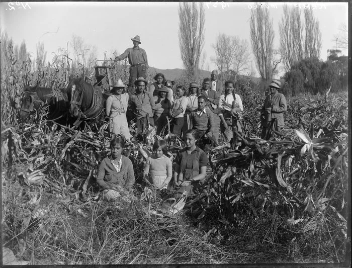 Maori family group with a maize crop