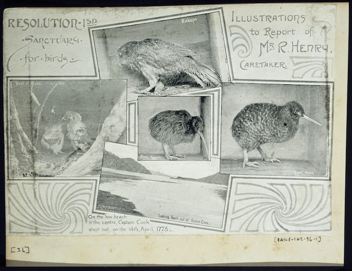 Resolution Island sanctuary for birds; illustrations to report of Mr R Henry, caretaker