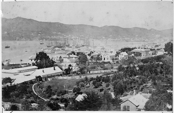 Creator unknown : Wellington from above Sydney Street West, Thorndon