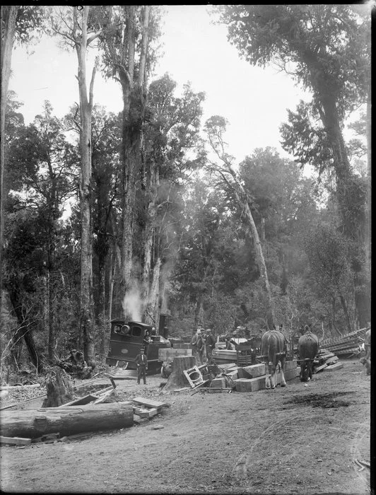 Timber workers with steam locomotive and horse-drawn transport, forestry industry