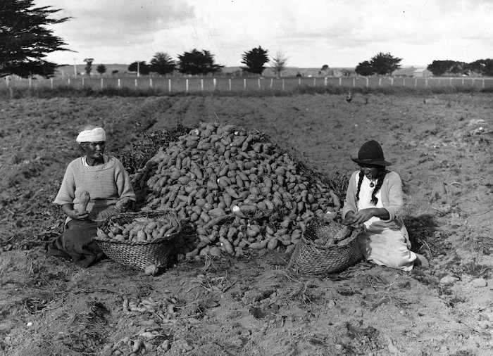 Ngawini Hetaraka and Ngahuia Hetaraka sitting next to a pile of kumara, Awanui