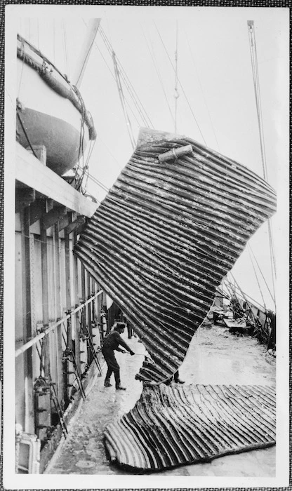 Sheets of whale blubber being cut up on factory ship deck