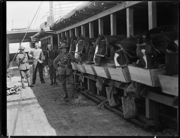Mounted Rifle troop horses in shipboard stables