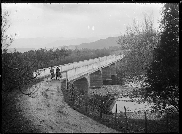 View of the Moonshine Bridge over the Hutt River.