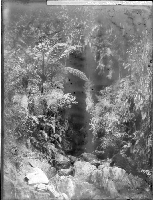 Cave entrance in native forest, Pipiriki area, upper Whanganui River