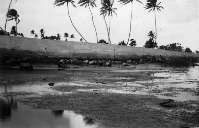 South Pacific - Fiji - Anti-tank wall, Suva Peninsula