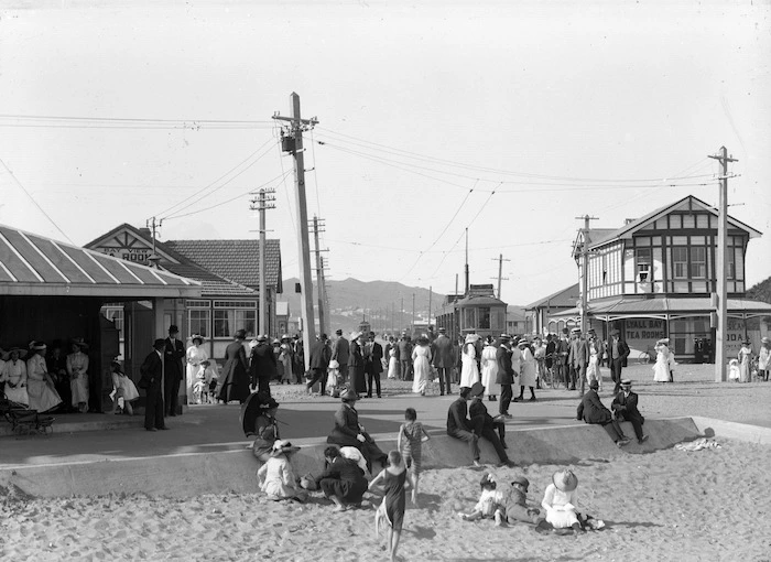 View of Lyall Bay foreshore