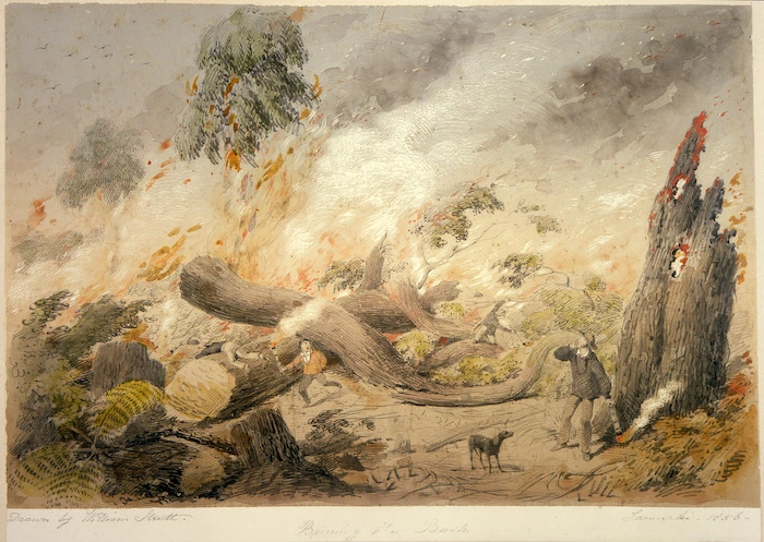 Strutt, William 1825-1915 :Burning the bush, Taranaki. 1856