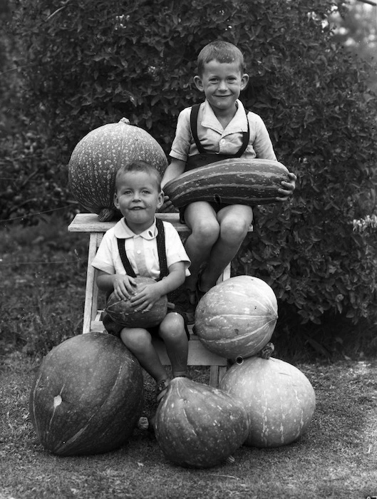 Albert Percy Godber's grandsons, Colin and Norman Hartwig, with marrows and pumpkins, Silverstream