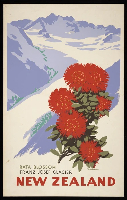 King, Marcus, 1891-1983 :Rata blossom, Franz Josef Glacier, New Zealand. [ca 1955]
