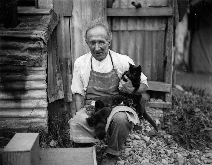Man with a cat and kittens, Akatarawa