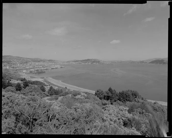 Wellington harbour