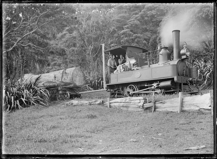 Locomotive "A" 196 in use hauling a log on the way to the mill at Piha in 1917.