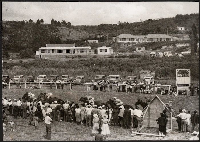 Horse race at the picnic race meeting held by the Hokianga Racing Club, at Memorial Park, Rawene, Northland region
