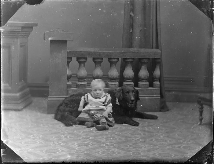 Unidentified infant and large dog