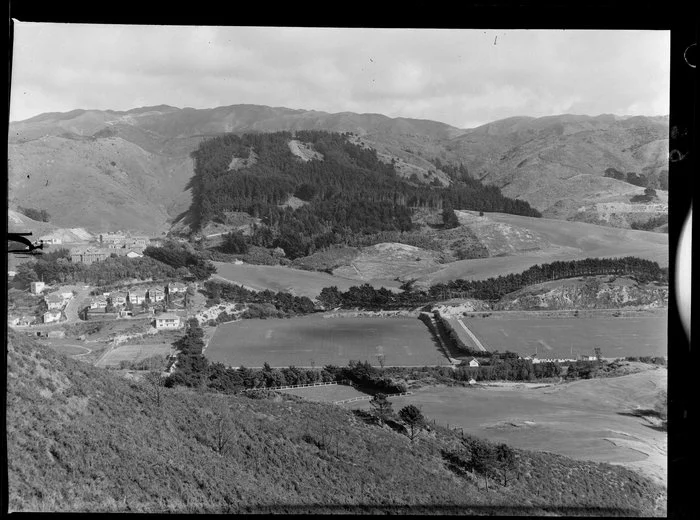 Plantation at Berhampore, Wellington