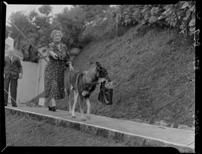 Rex the Alsatian dog, carrying a bag with Peter the cat in it, unidentified man and woman stand on path alongside