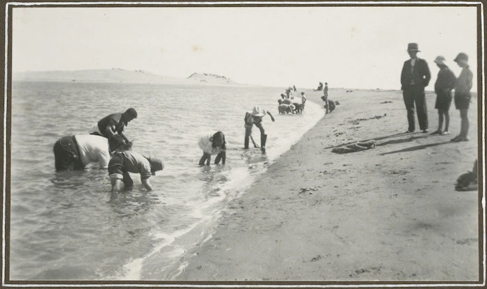 Maori gathering pipi shellfish - Photograph taken by George Leslie Adkin.