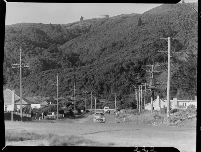 Stokes Valley, Lower Hutt, Wellington Region, including cars on the street and a water reservoir on the bush clad hill above
