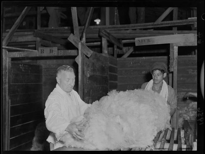 Wool grading at sheep shearing, Ohinewairua Station