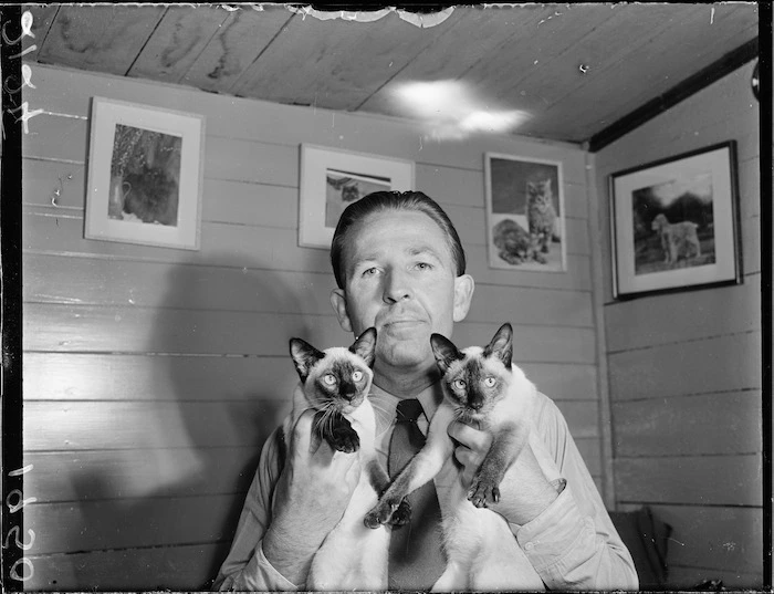 Man and two Siamese cats