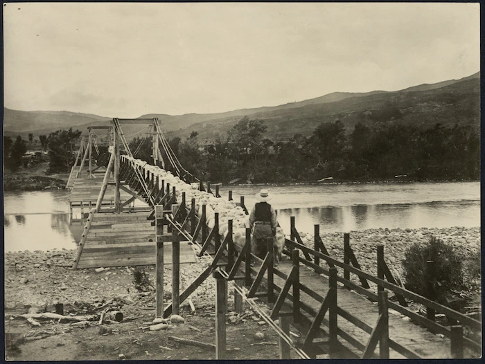 Driving sheep along a bridge - Photograph taken by Frederick Ashby Hargreaves