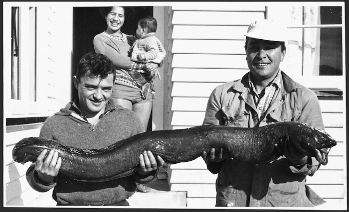 Large eel