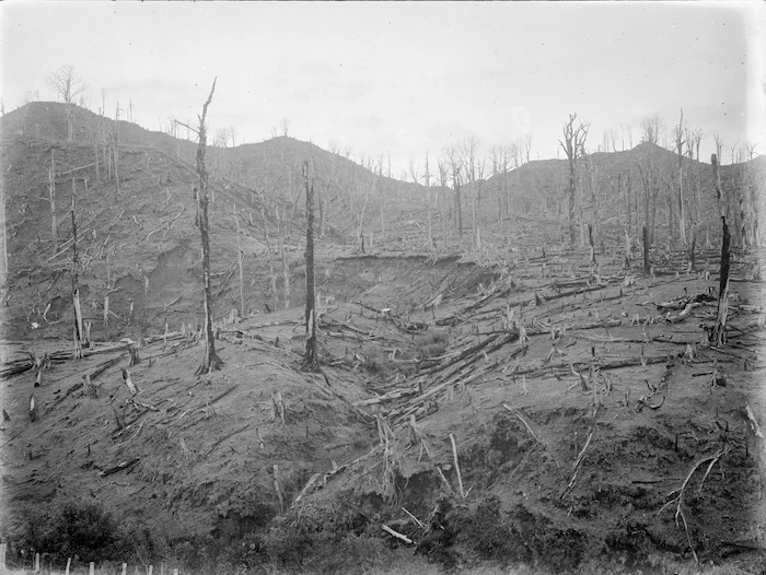 Remains of a bush burn, probably in the Stratford area