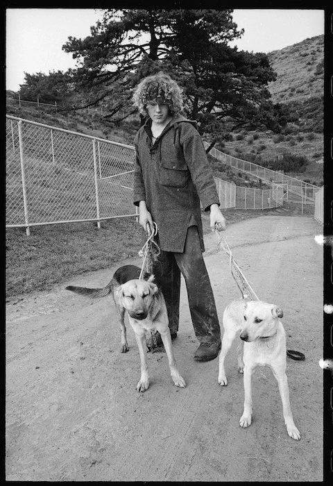 Stray dogs caught in Wellington Zoo, New Zealand