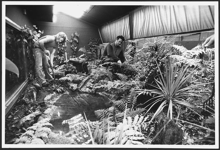 Parks Department gardeners working in Wellington Zoo's nocturnal house, New Zealand