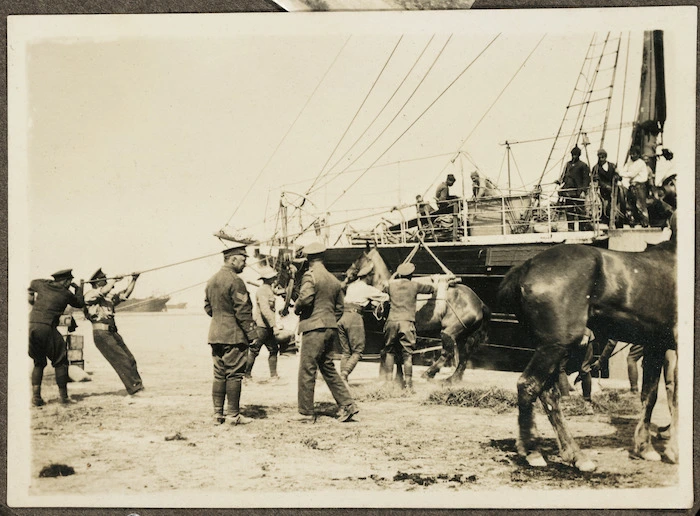Landing horses at Gallipoli