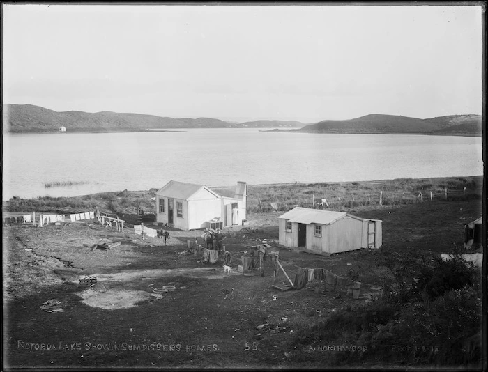 Gum diggers' homes, Northland