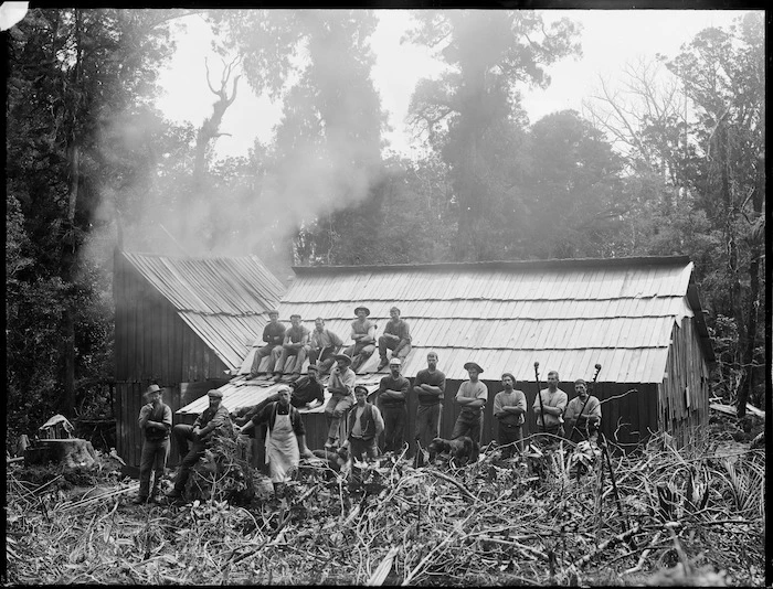 Timber camp, Kaeo district